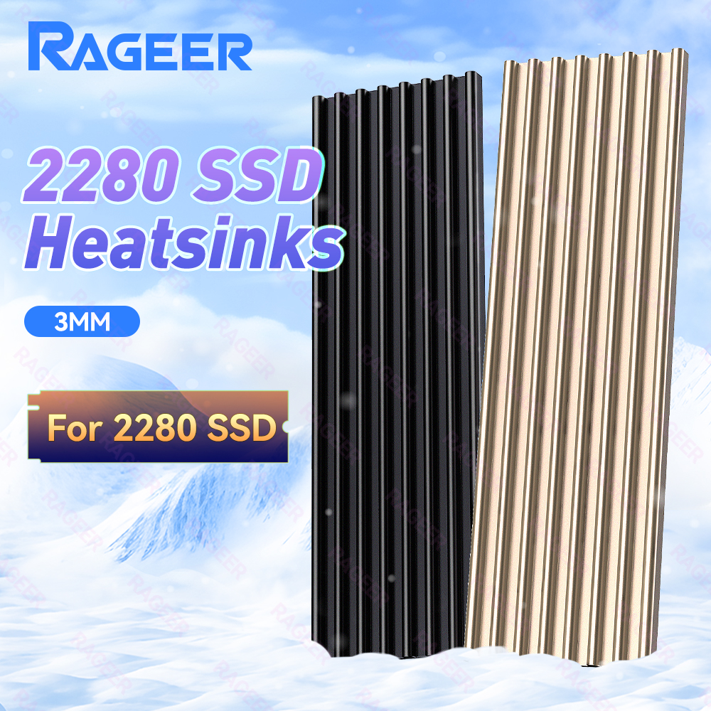 RAGEER M.2 SSD Heatsink with T - M2 Heatsink Cooler recensione e prezzo